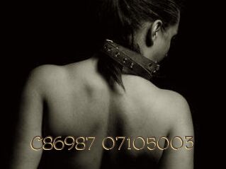 C86987-07105003
