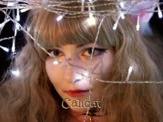 Calicat