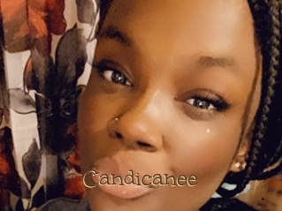 Candicanee