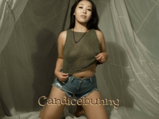 Candicebunny