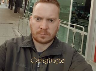 Cangingie