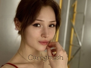 Carrybush