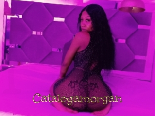 Cataleyamorgan
