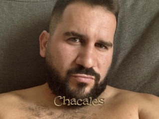 Chacales