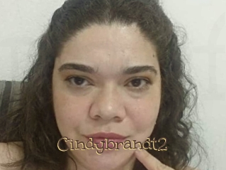 Cindybrandt2