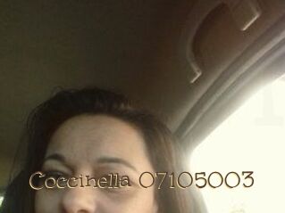 Coccinella-07105003