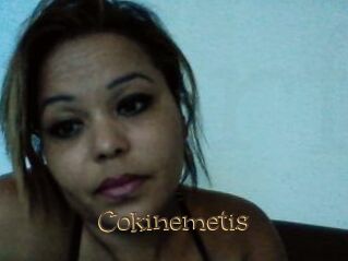 cokinemetis Porno FR