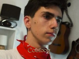 Coolboy