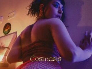 Cosmosis