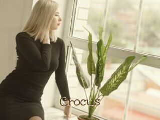 Crocus