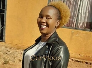 curvious Porno FR