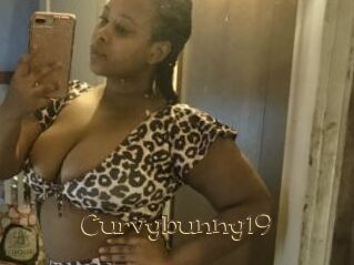 Curvybunny19