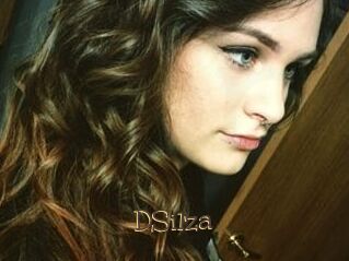 DSilza