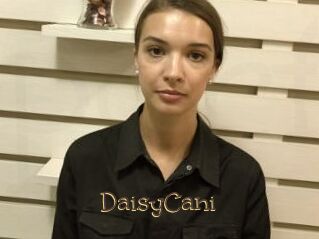 DaisyCani
