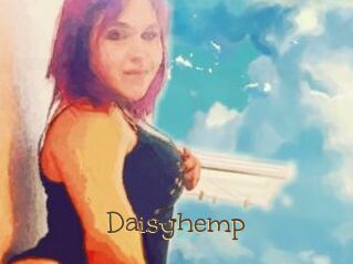Daisy_hemp