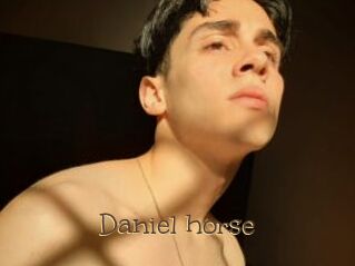 Daniel_horse