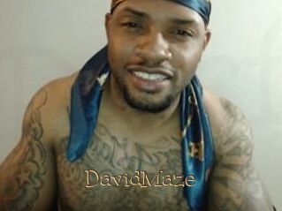 David_Maze