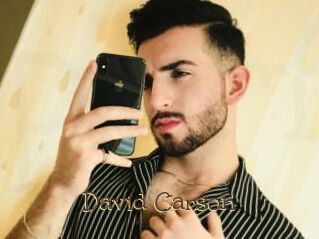 David_Carson