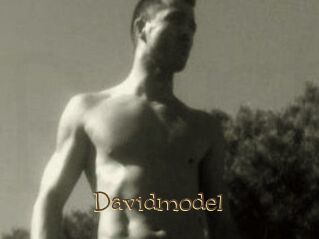 Davidmodel
