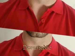 DommeNic