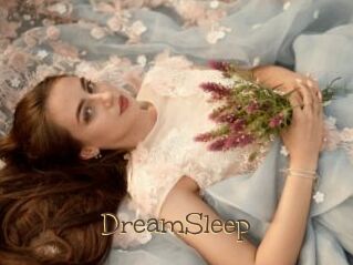 DreamSleep