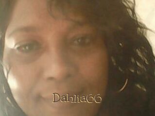 Dahlia66