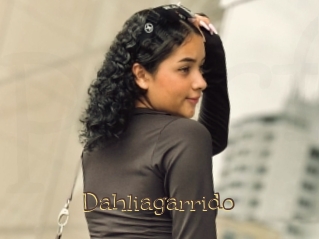 Dahliagarrido
