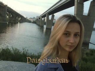 Daisybufkin