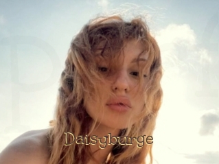 Daisyburge