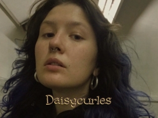 Daisycurles