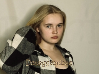 Daisygambee