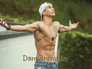 Damianmiuler