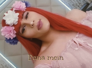 Dana_mein