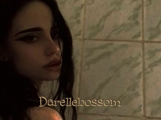 Darellebossom