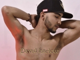 David_harlow