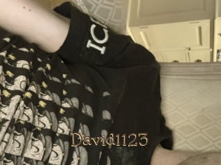 David1123