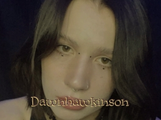 Dawnhawkinson