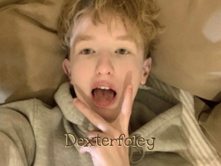 Dexterfoley