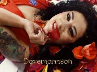 Dovemorrison