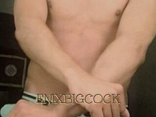 ENIXBIGCOCK