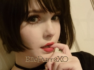 EllePurrsXO