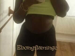 Ebony_flamingo