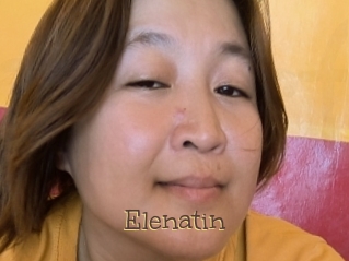 Elenatin