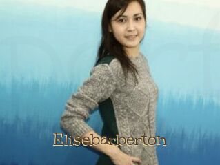Elisebarberton