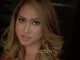Elisecam