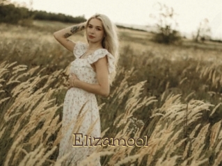 Elizamool