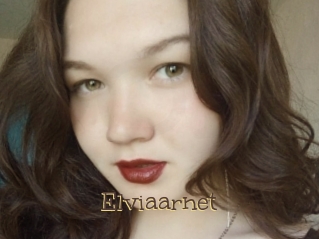 Elviaarnet