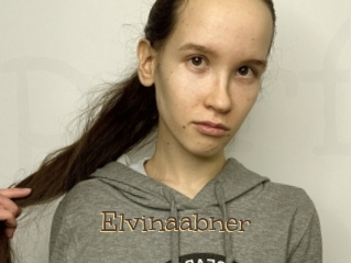 Elvinaabner