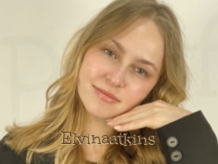 Elvinaatkins
