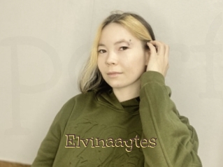 Elvinaaytes